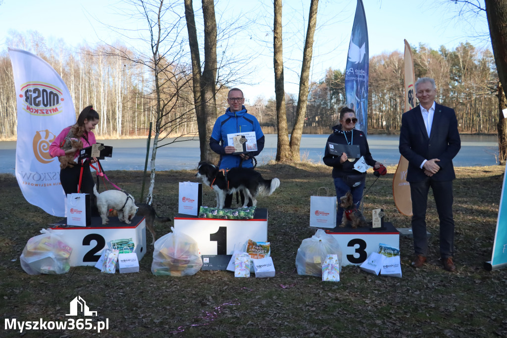 Fotorelacja II: Jurajski Dogtrekking w Myszkowie
