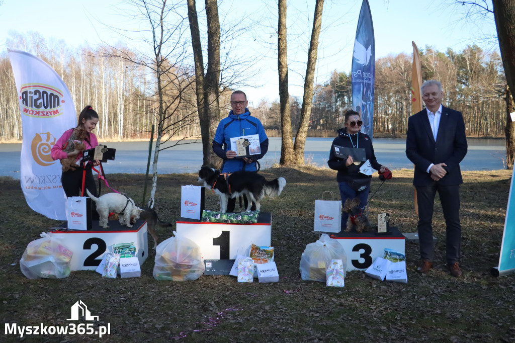 Fotorelacja II: Jurajski Dogtrekking w Myszkowie