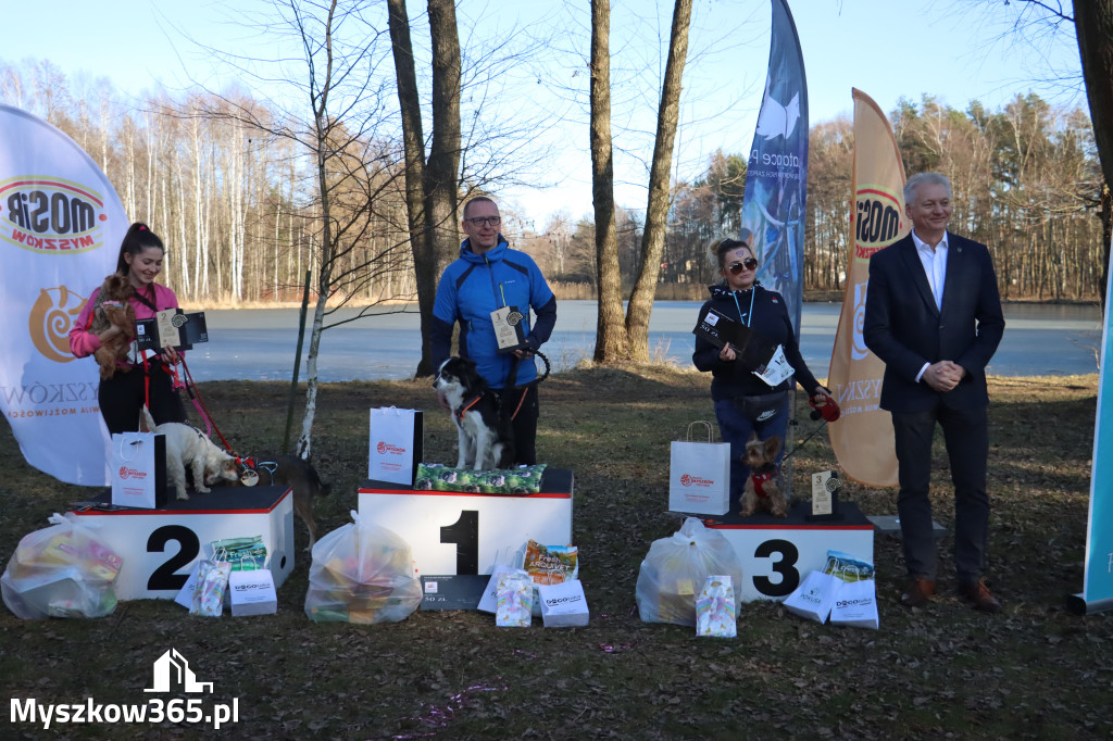 Fotorelacja II: Jurajski Dogtrekking w Myszkowie