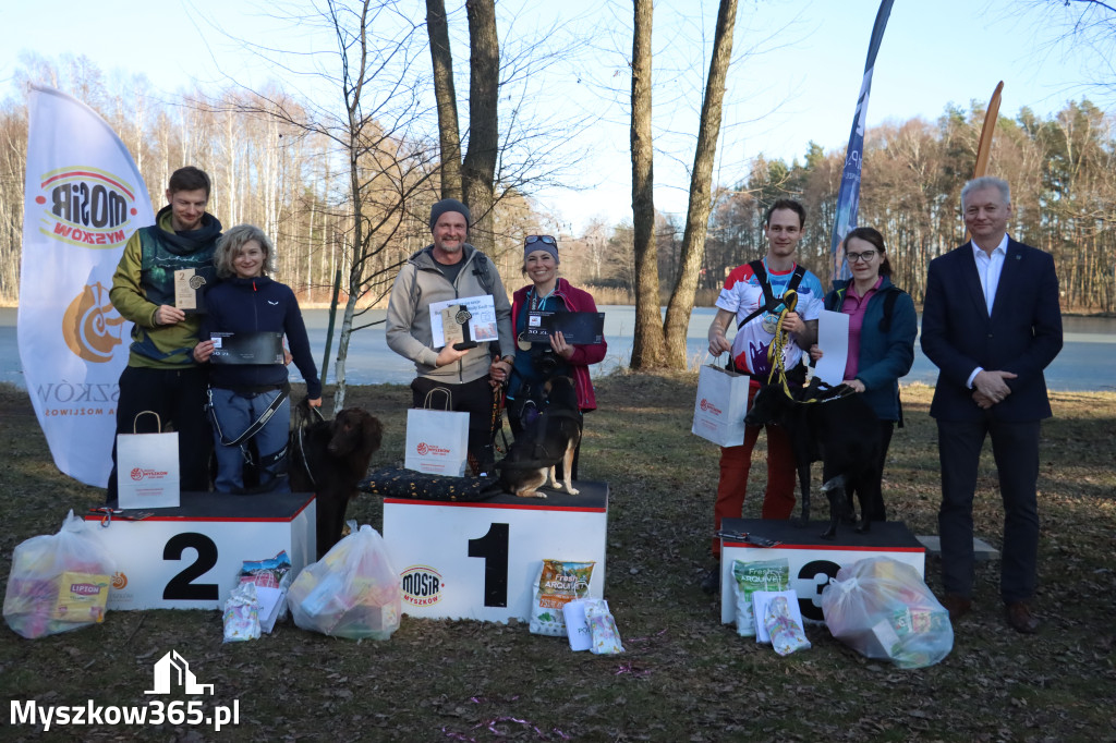Fotorelacja II: Jurajski Dogtrekking w Myszkowie