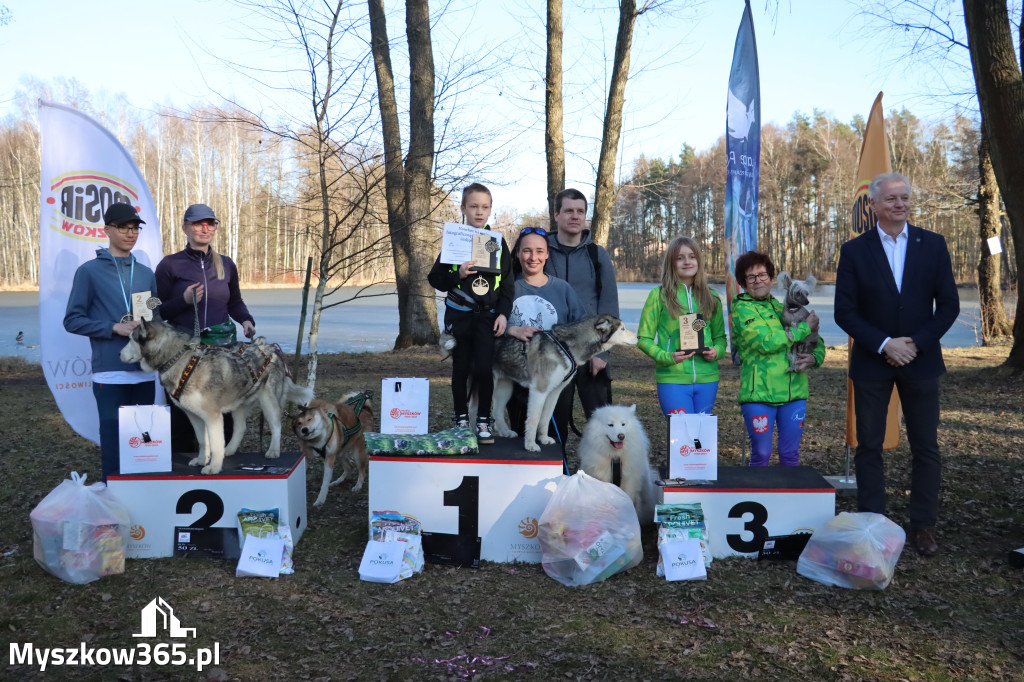 Fotorelacja II: Jurajski Dogtrekking w Myszkowie