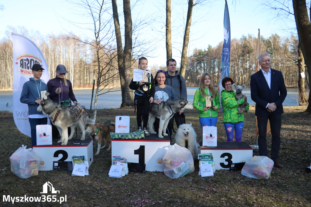 Fotorelacja II: Jurajski Dogtrekking w Myszkowie