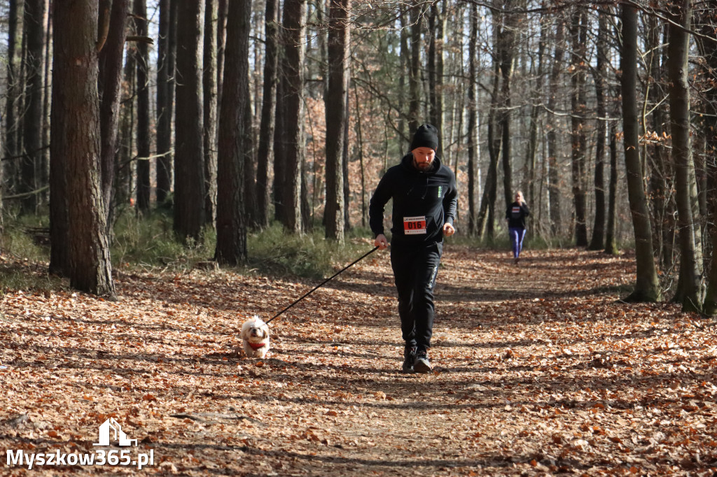 Fotorelacja: 3. Bieg po Zdrowie z okazji Dnia Kobiet w Myszkowie