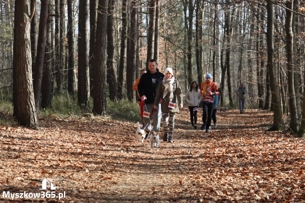 Fotorelacja: 3. Bieg po Zdrowie z okazji Dnia Kobiet w Myszkowie