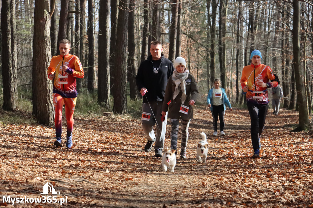 Fotorelacja: 3. Bieg po Zdrowie z okazji Dnia Kobiet w Myszkowie