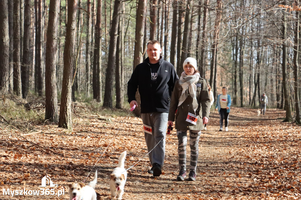 Fotorelacja: 3. Bieg po Zdrowie z okazji Dnia Kobiet w Myszkowie