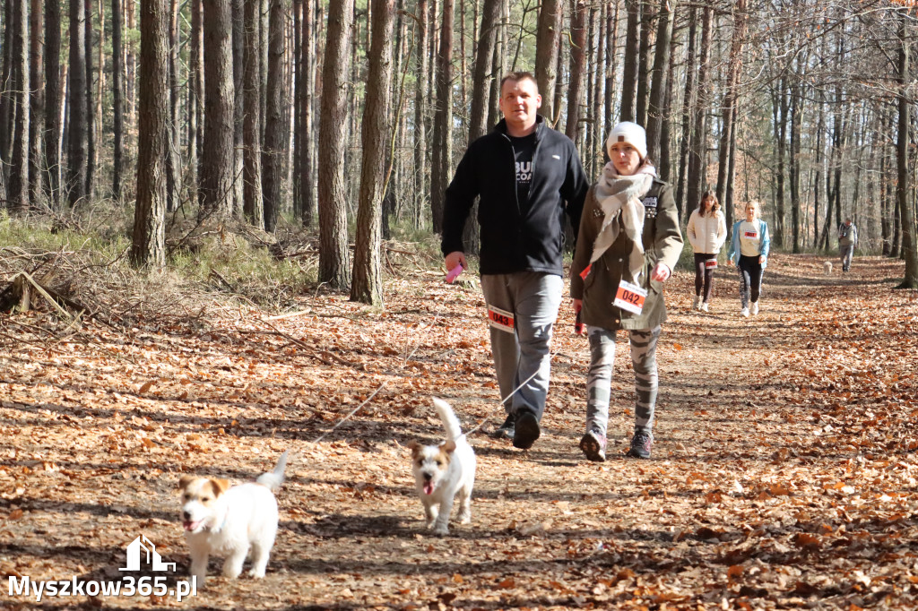 Fotorelacja: 3. Bieg po Zdrowie z okazji Dnia Kobiet w Myszkowie