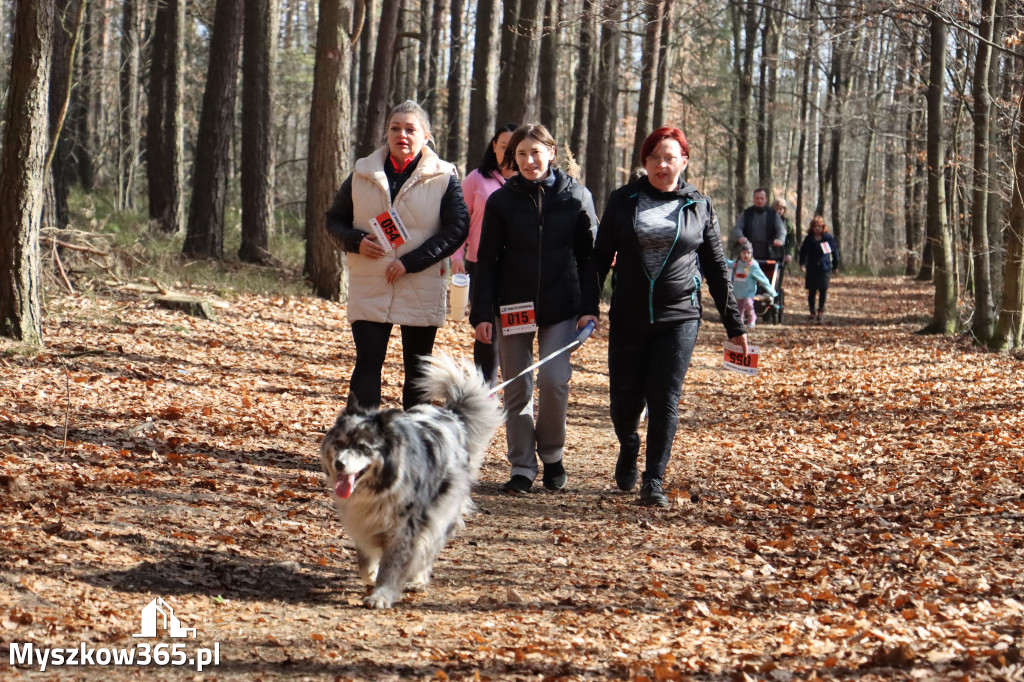 Fotorelacja: 3. Bieg po Zdrowie z okazji Dnia Kobiet w Myszkowie