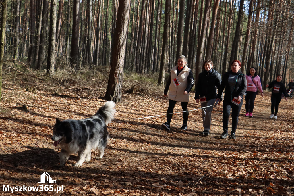 Fotorelacja: 3. Bieg po Zdrowie z okazji Dnia Kobiet w Myszkowie