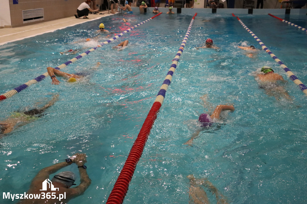 Fotorelacja: XI Ogólnopolski Nocny Maraton Pływacki Otyliada 2026