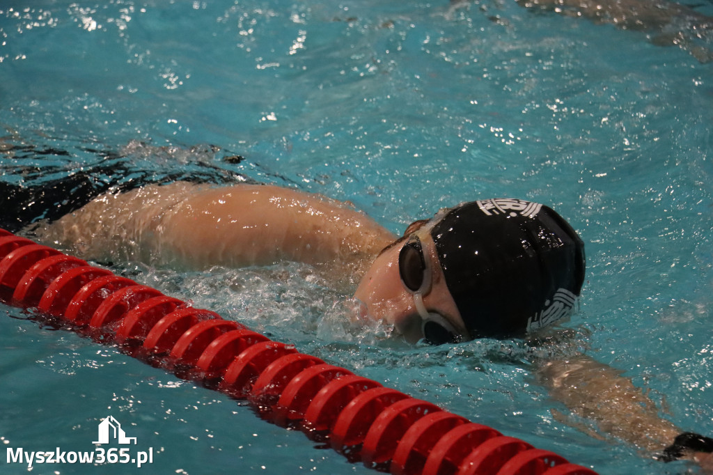 Fotorelacja: XI Ogólnopolski Nocny Maraton Pływacki Otyliada 2026