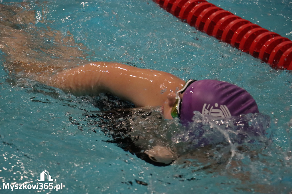 Fotorelacja: XI Ogólnopolski Nocny Maraton Pływacki Otyliada 2026