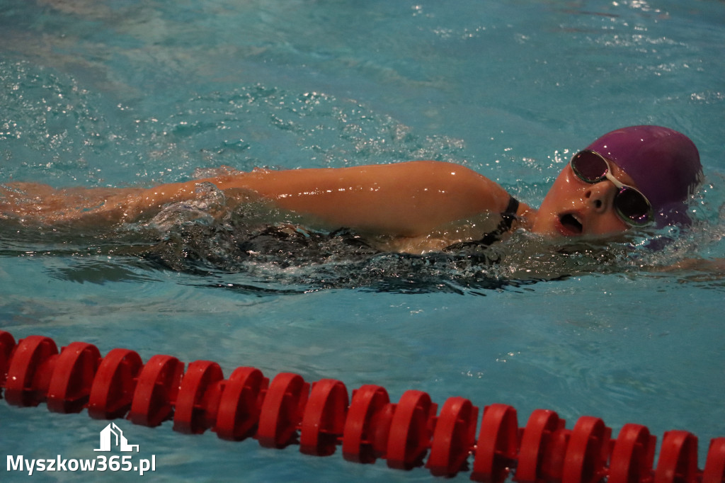 Fotorelacja: XI Ogólnopolski Nocny Maraton Pływacki Otyliada 2026