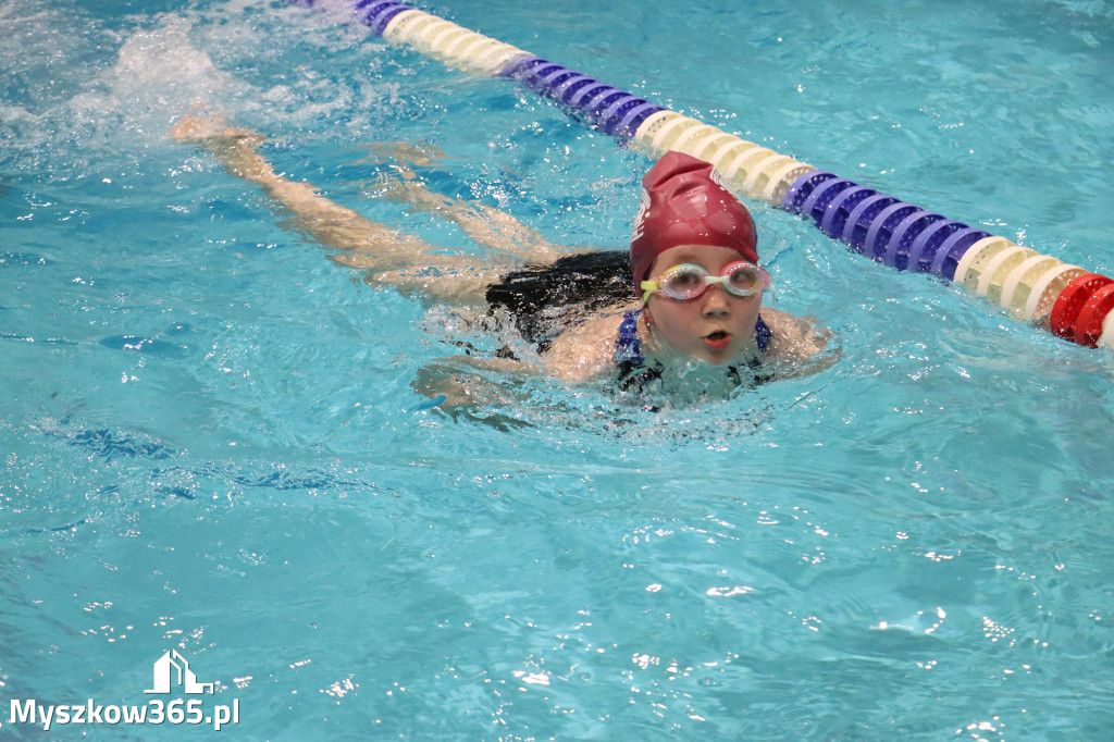 Fotorelacja: XI Ogólnopolski Nocny Maraton Pływacki Otyliada 2026