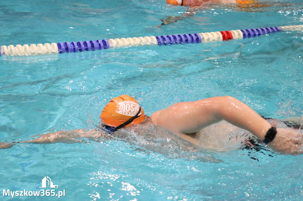 Fotorelacja: XI Ogólnopolski Nocny Maraton Pływacki Otyliada 2026