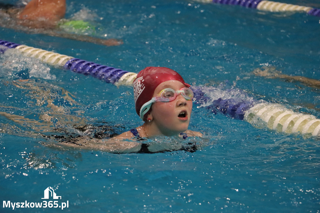 Fotorelacja: XI Ogólnopolski Nocny Maraton Pływacki Otyliada 2026