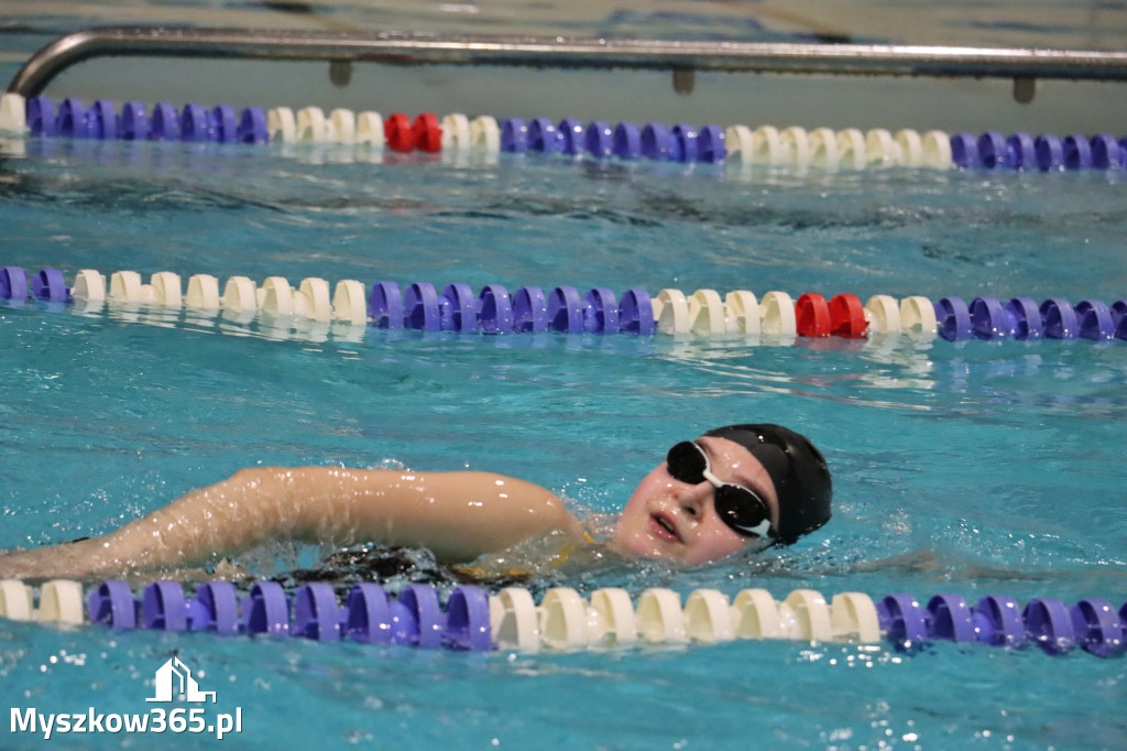 Fotorelacja: XI Ogólnopolski Nocny Maraton Pływacki Otyliada 2026