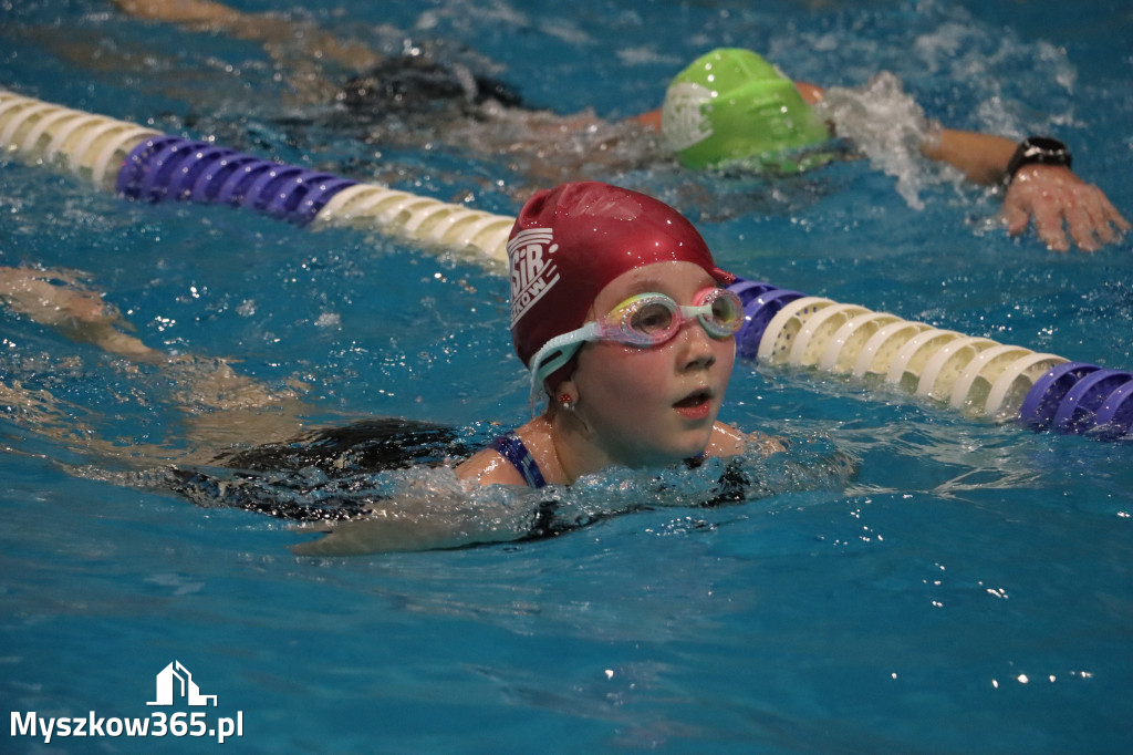 Fotorelacja: XI Ogólnopolski Nocny Maraton Pływacki Otyliada 2026