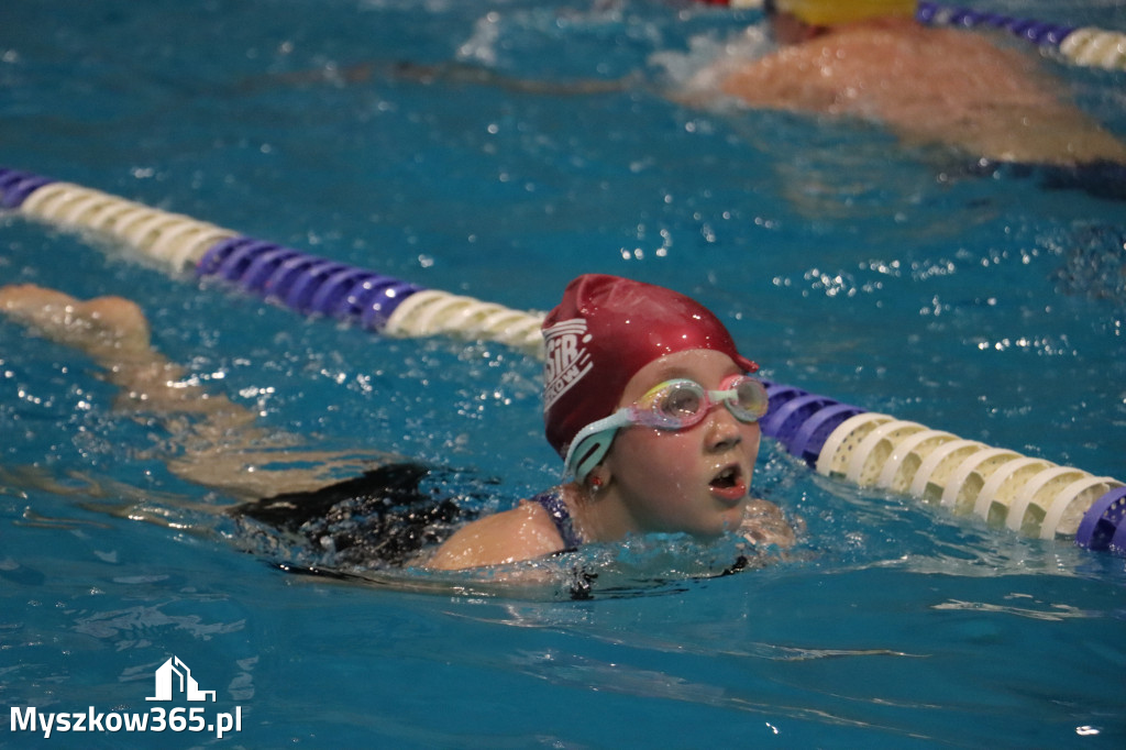 Fotorelacja: XI Ogólnopolski Nocny Maraton Pływacki Otyliada 2026