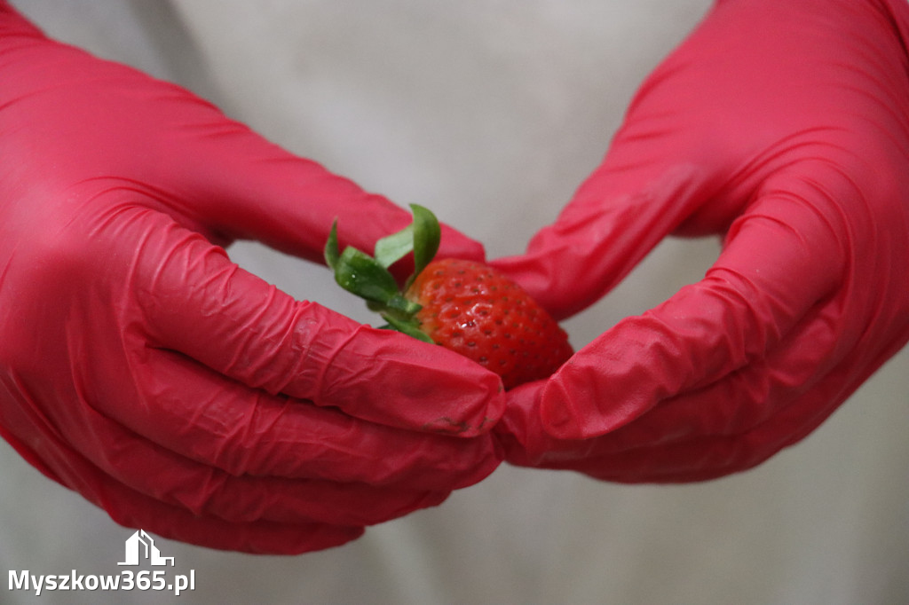 Fotorelacja: JAJECZNA REWOLUCJA TADKA w ZS im. Tadeusza Kościuszki w Żarkach