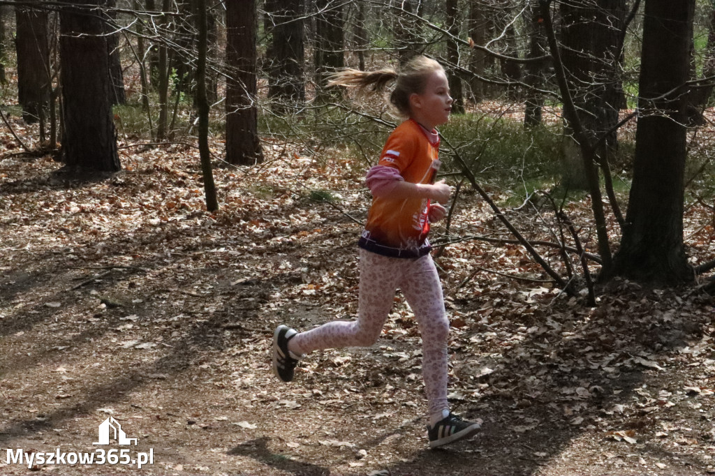 Fotorelacja: 4. Bieg po Zdrowie w Myszkowie
