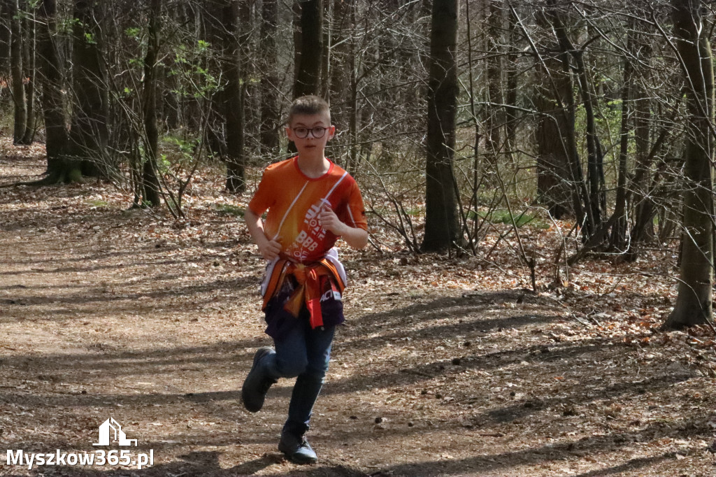 Fotorelacja: 4. Bieg po Zdrowie w Myszkowie
