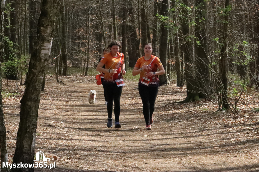 Fotorelacja: 4. Bieg po Zdrowie w Myszkowie