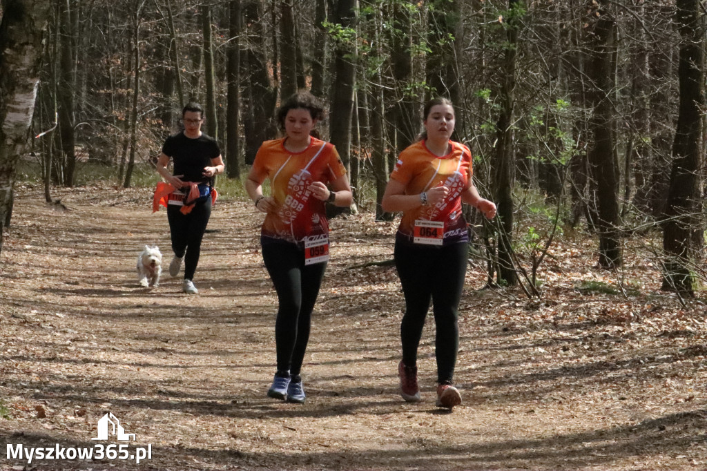 Fotorelacja: 4. Bieg po Zdrowie w Myszkowie