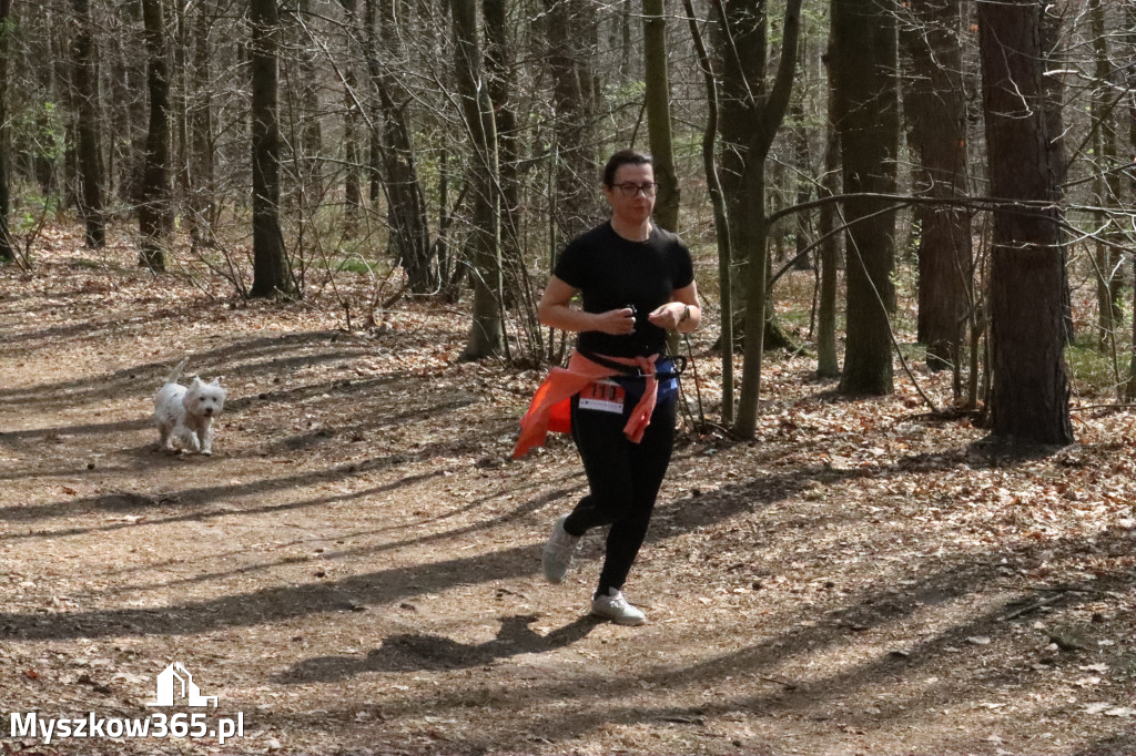 Fotorelacja: 4. Bieg po Zdrowie w Myszkowie
