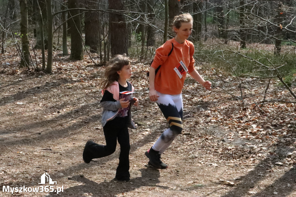 Fotorelacja: 4. Bieg po Zdrowie w Myszkowie