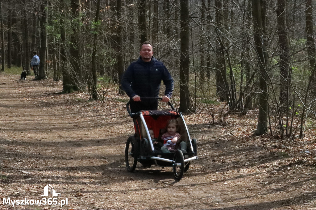 Fotorelacja: 4. Bieg po Zdrowie w Myszkowie