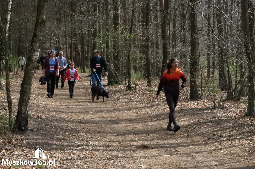 Fotorelacja: 4. Bieg po Zdrowie w Myszkowie