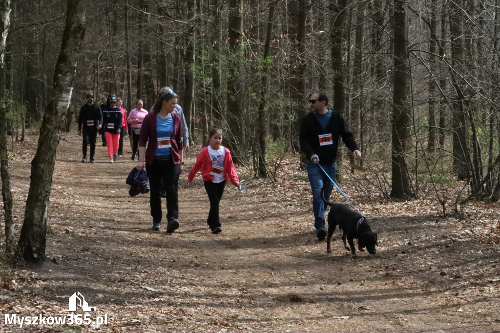 Fotorelacja: 4. Bieg po Zdrowie w Myszkowie