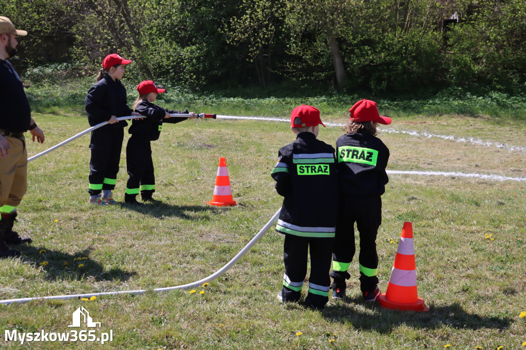 Fotorelacja: Piknik Rodzinny - 1 Maj w Myszkowie