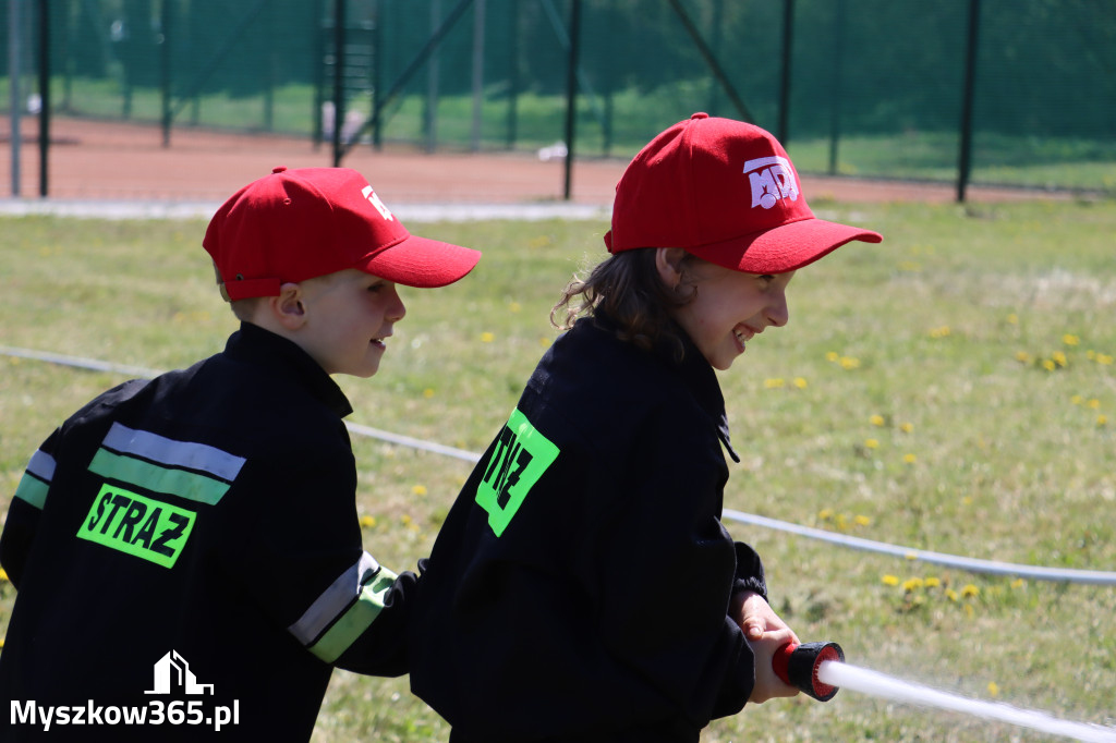 Fotorelacja: Piknik Rodzinny - 1 Maj w Myszkowie