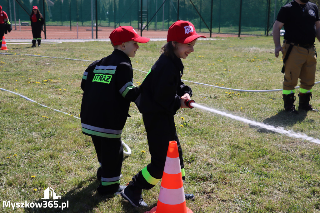 Fotorelacja: Piknik Rodzinny - 1 Maj w Myszkowie