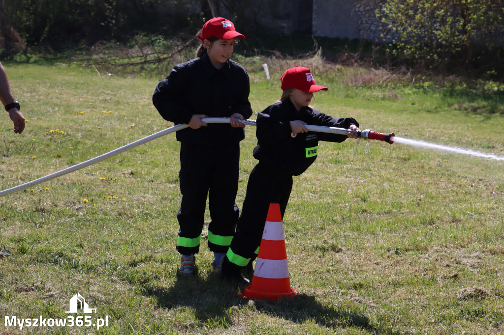 Fotorelacja: Piknik Rodzinny - 1 Maj w Myszkowie