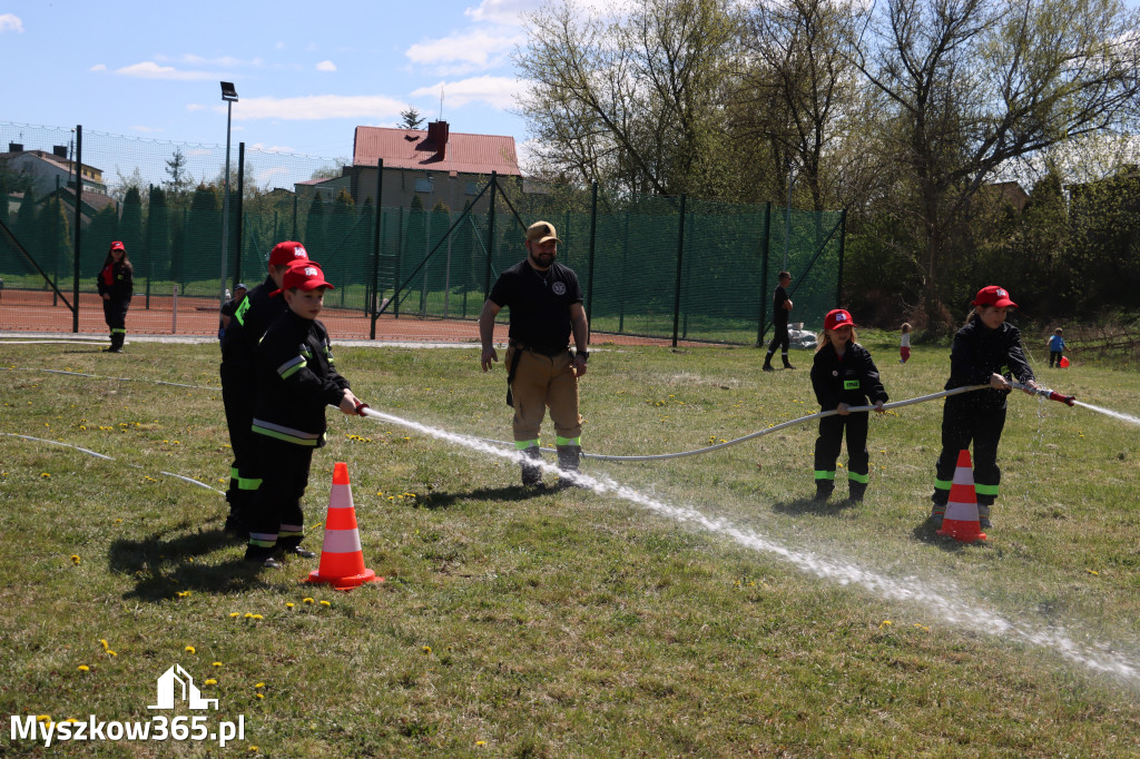 Fotorelacja: Piknik Rodzinny - 1 Maj w Myszkowie