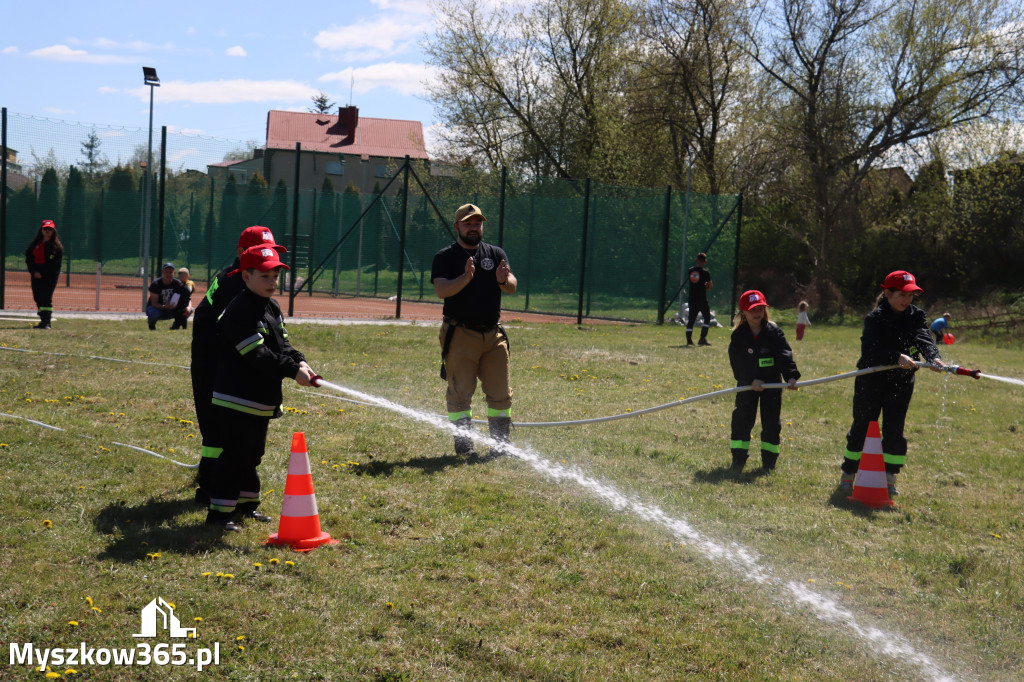 Fotorelacja: Piknik Rodzinny - 1 Maj w Myszkowie