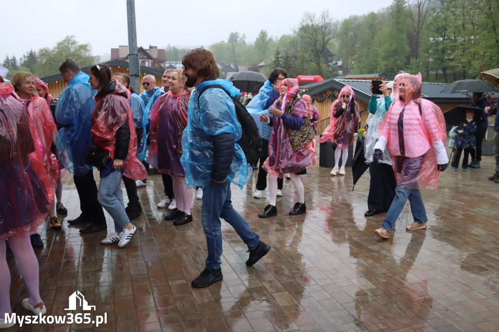 Fotorelacja: Wycieczka do Szczawnicy - Przedstawienie charytatywne 2026 w Myszkowie