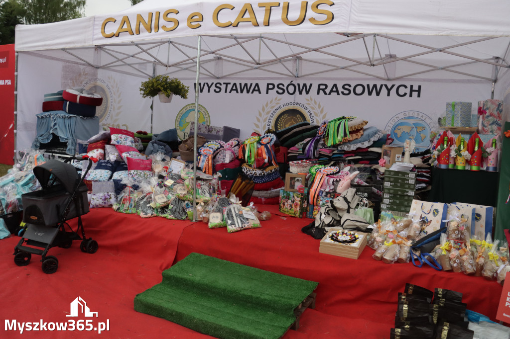 Fotorelacja: Międzynarodowa Wystawa Psów Rasowych w Poraju