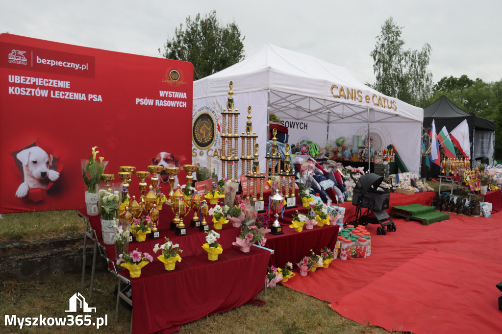 Fotorelacja: Międzynarodowa Wystawa Psów Rasowych w Poraju