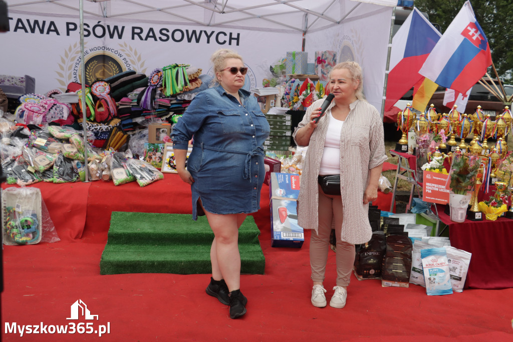 Fotorelacja: Międzynarodowa Wystawa Psów Rasowych w Poraju