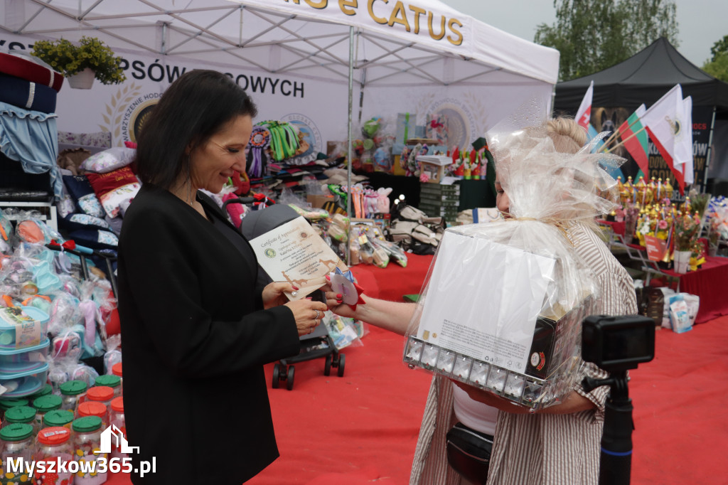 Fotorelacja: Międzynarodowa Wystawa Psów Rasowych w Poraju