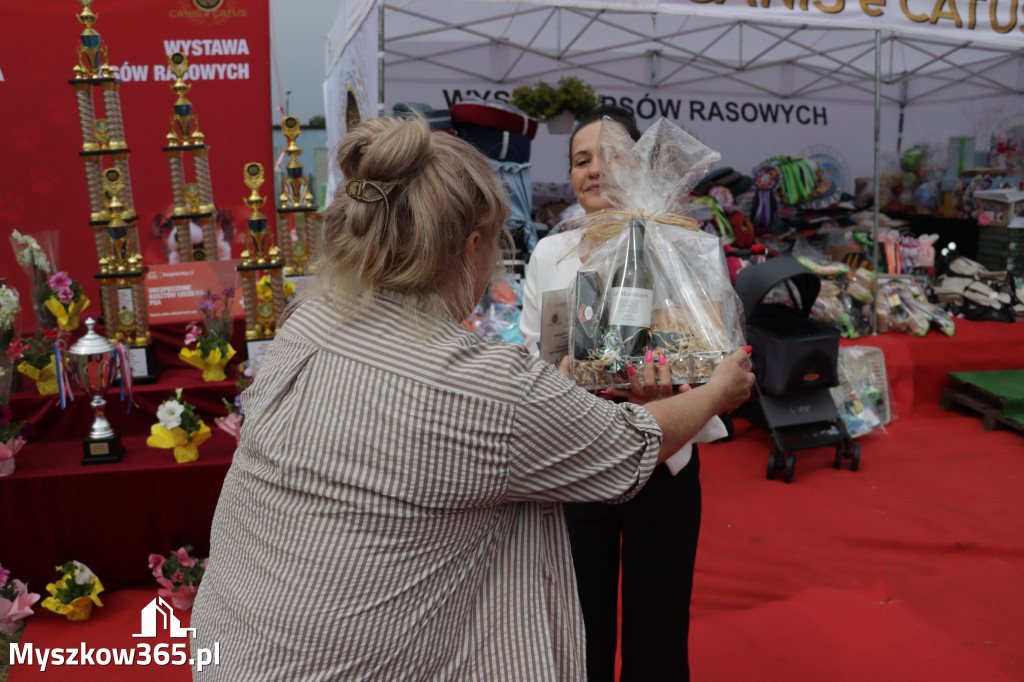 Fotorelacja: Międzynarodowa Wystawa Psów Rasowych w Poraju