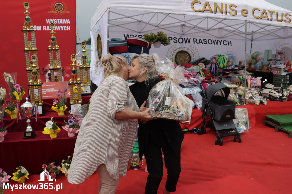 Fotorelacja: Międzynarodowa Wystawa Psów Rasowych w Poraju