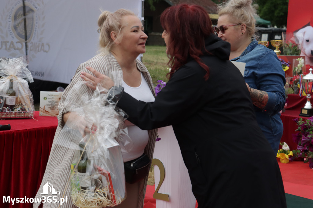 Fotorelacja: Międzynarodowa Wystawa Psów Rasowych w Poraju