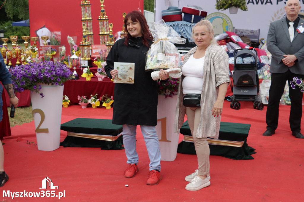 Fotorelacja: Międzynarodowa Wystawa Psów Rasowych w Poraju