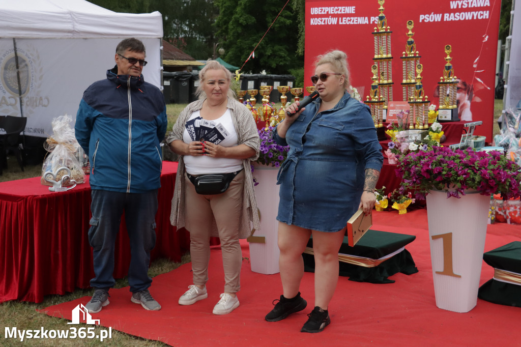 Fotorelacja: Międzynarodowa Wystawa Psów Rasowych w Poraju