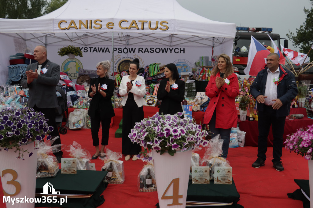 Fotorelacja: Międzynarodowa Wystawa Psów Rasowych w Poraju
